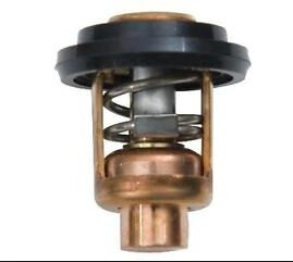 Yamaha - Termosztát 9.9D15D/20C-hez...