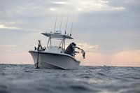 MINN KOTA RIPTIDE TERROVA QUEST 90/115 WR első elektromos csónakmotor 152 cm, fehér, pedál nélkül, 24/36 V