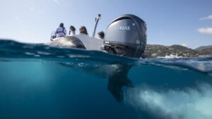 YAMAHA FL300 XD (DBW) csónakmotor - tengelyhossz 25 hüvelyk/63,5 cm (fordított forgásirányú hajócsavar) - Image 3