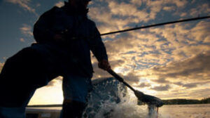 YAMAHA M12 villanymotor 13,6 kg - 5 előremeneti sebesség, 3 hátrameneti sebesség - Image 3