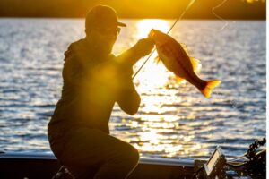 Halradar EAGLE 9 TRIPLESHOT - Image 13