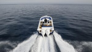 YAMAHA FL300 US2 (SBW) csónakmotor fehér - tengelyhossz 30" / 76,2 cm (fordított propeller forgás) - Image 6