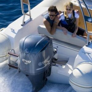 YAMAHA FL250 ES (SBW) csónakmotor - tengelyhossz 35" / 88,9 cm (fordított forgásirányú propeller) - Image 6