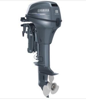 YAMAHA HIGH TRUST FT8 GMHL - Image 1