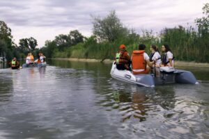 ALLROUNDMARIN DYNAMIC 380 - felfújható csónak szürke színben - Image 3