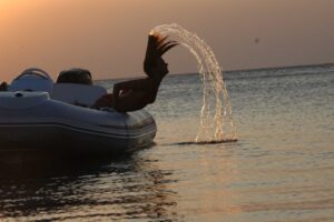 Gumicsónak GRAND Golden Line G380EF - Image 8