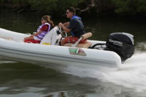 Tohatsu MFS 50A ETL csónakmotor - Image 7