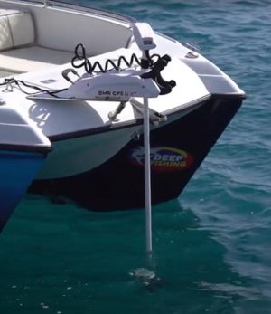 RHINO BMR GPS NxT 65 Longshaft 12V első villanymotor fehér - Image 6