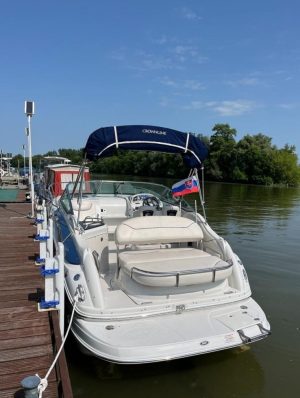 CROWNLINE 250 CR (2009) – Kabinos motorcsónak gazdag felszereltséggel és YANMAR 6LPA315 dízelmotorral - Image 5
