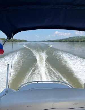 CROWNLINE 250 CR (2009) – Kabinos motorcsónak gazdag felszereltséggel és YANMAR 6LPA315 dízelmotorral - Image 13